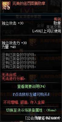 DNF发布网人气高私服